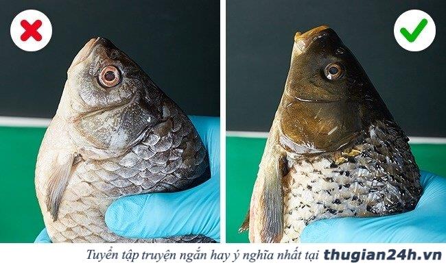 12 mẹo kiểm tra chất lượng thực phẩm để tránh bị ngộ độc 13