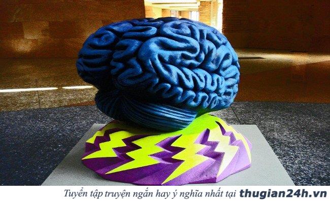 Muốn tư duy có hiệu quả, hãy luyện não bộ theo 12 cách dưới đây! 0