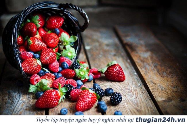 Hãy nhớ đến 11 điều này khi gặp khó khăn trong cuộc sống! 3