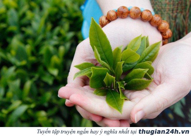 Ăn gì để tăng khả năng sáng tạo 2