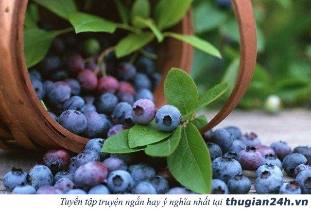 Ăn gì để tăng khả năng sáng tạo 4