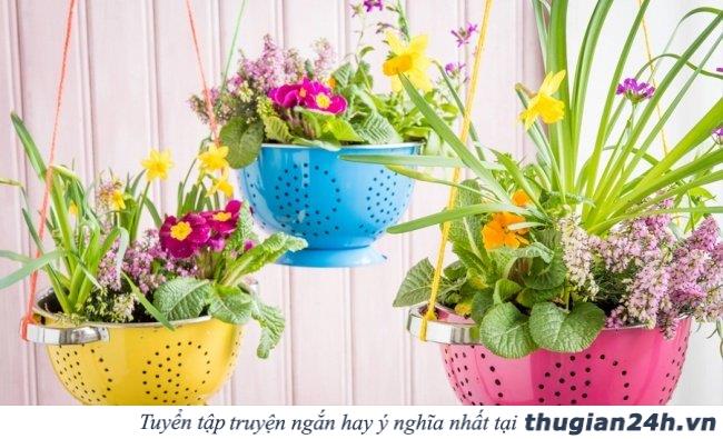 16 mẹo giúp cuộc sống của bạn nâng lên một tầm cao mới 1