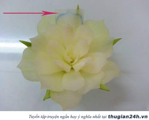 Trang trí mâm ngũ quả Trung thu bằng hoa hồng, hoa cúc, hoa súng làm từ đu đủ siêu đẹp 6