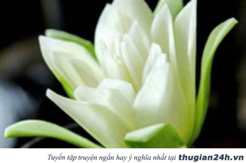 Trang trí mâm ngũ quả Trung thu bằng hoa hồng, hoa cúc, hoa súng làm từ đu đủ siêu đẹp 9
