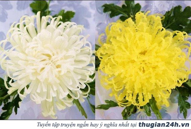 Trang trí mâm ngũ quả Trung thu bằng hoa hồng, hoa cúc, hoa súng làm từ đu đủ siêu đẹp 10