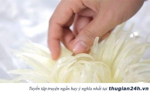 Trang trí mâm ngũ quả Trung thu bằng hoa hồng, hoa cúc, hoa súng làm từ đu đủ siêu đẹp 18