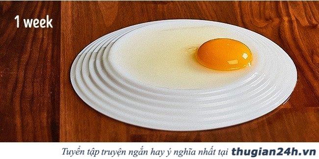 11 mẹo vặt hữu ích được