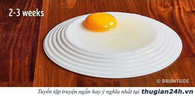 11 mẹo vặt hữu ích được
