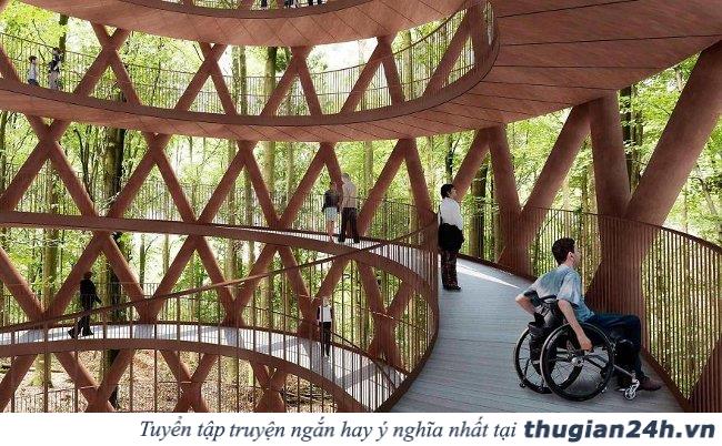 Cùng ngắm nhìn con đường xoắn ốc đi xuyên qua rừng ở Đan Mạch 8