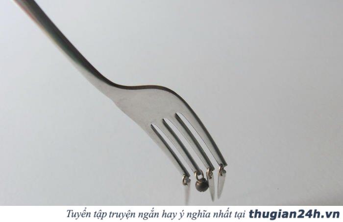 Bộ sưu tập những đồ vật thường dùng nhưng vô dụng nhất thế giới 18