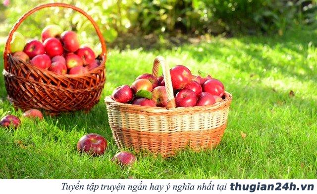 45 định luật rất đúng cho cuộc sống, đọc đến đâu thấm đến đấy 1