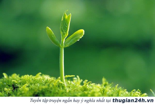45 định luật rất đúng cho cuộc sống, đọc đến đâu thấm đến đấy 3