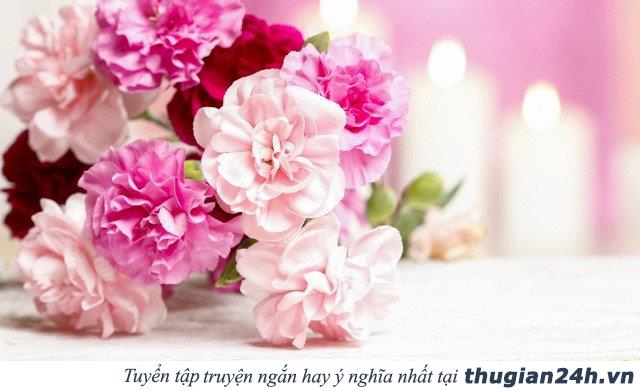 Những câu danh ngôn hay và ý nghĩa dành tặng thầy cô giáo nhân ngày 20 - 11 9