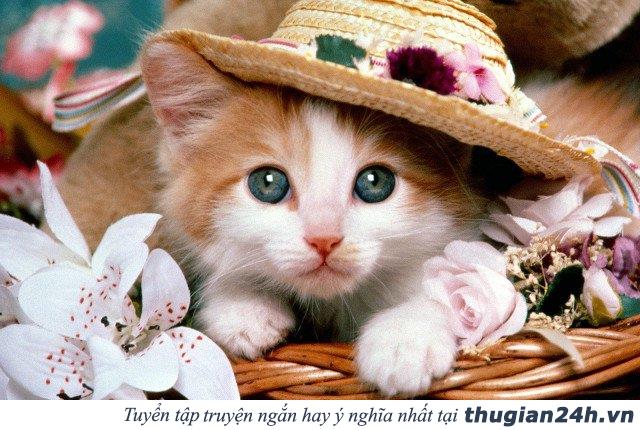 Top 9 món quà ý nghĩa các chàng nên tặng cho bạn gái ngày 20-10 mà giá chỉ từ 100k 11