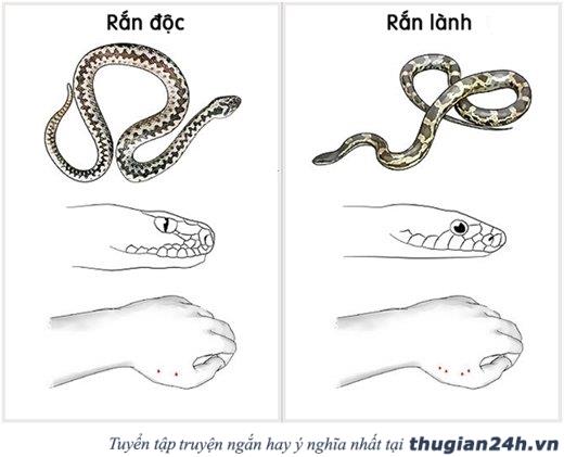 Ghi nhớ 10 mẹo vặt này, chúng sẽ 