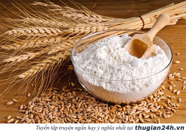 12 mẹo đuổi kiến ra khỏi nhà đơn giản và an toàn cho sức khỏe 4