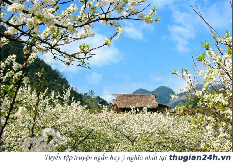 Những mùa hoa đẹp nhất, hấp dẫn nhất ở Việt Nam nên check in một lần trong đời 0