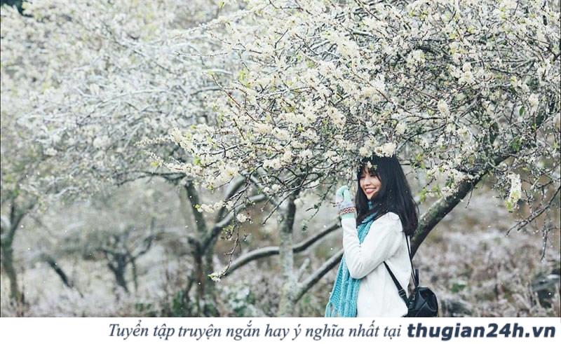 Những mùa hoa đẹp nhất, hấp dẫn nhất ở Việt Nam nên check in một lần trong đời 3