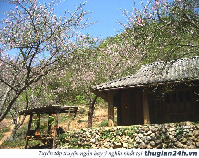 Những mùa hoa đẹp nhất, hấp dẫn nhất ở Việt Nam nên check in một lần trong đời 5