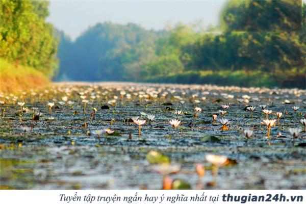 Những mùa hoa đẹp nhất, hấp dẫn nhất ở Việt Nam nên check in một lần trong đời 23